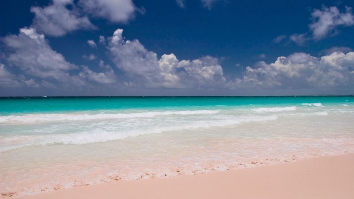 Pink Sands Beach, Harbour Island, Bahamas
